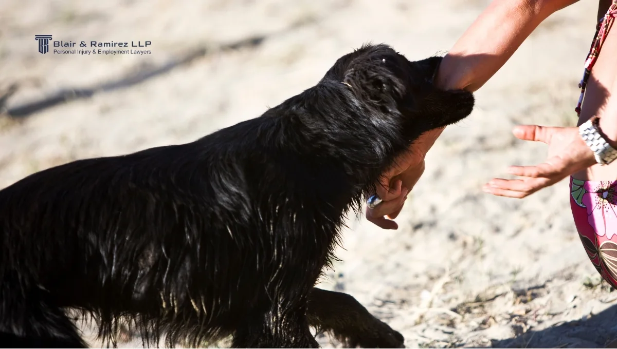 Dog Bite