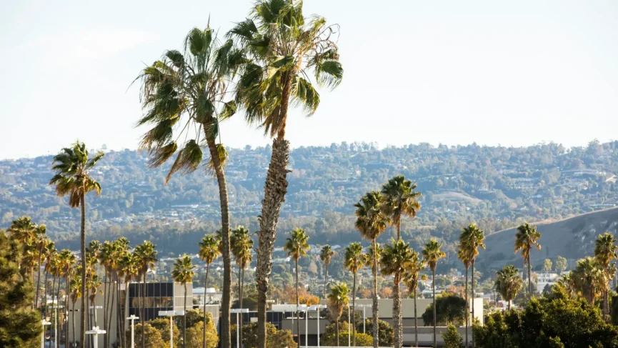 torrance-personal-injury-lawyer
