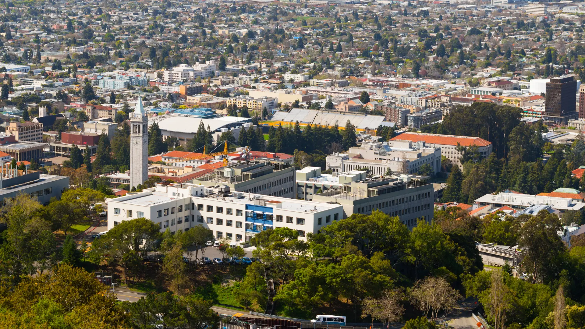 Bellflower personal injury and employment law firm.