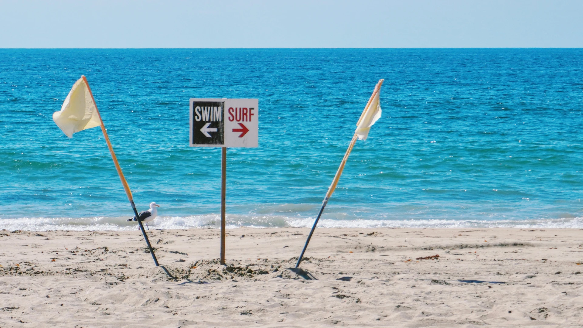 Lawyer helping Manhattan Beach victims pursue compensation after accidents and workplace problems