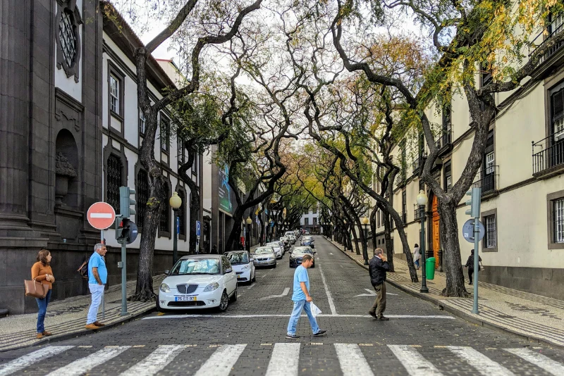Personal injury attorney helping a pedestrian accident victim understand legal options