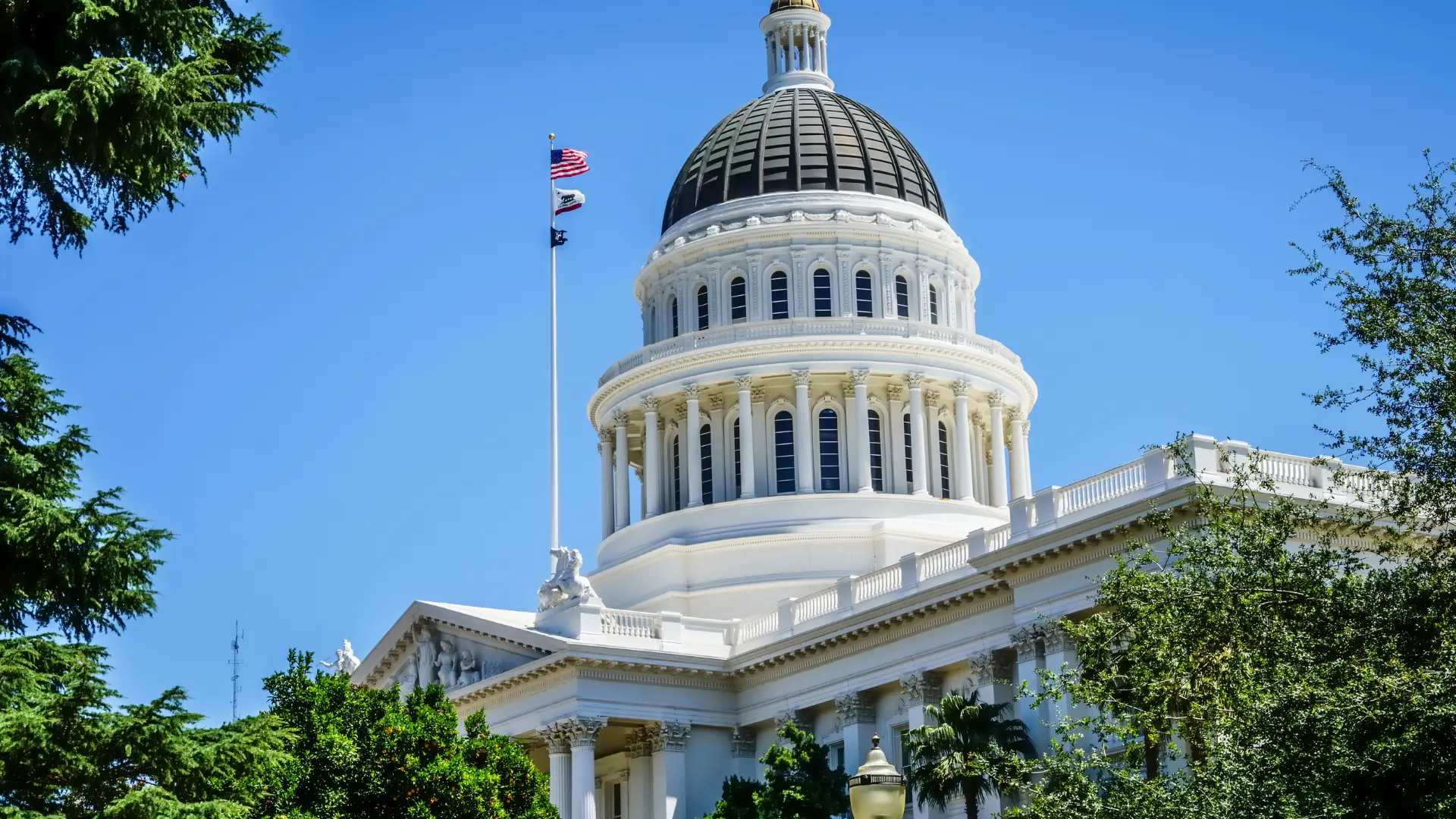 Maywood attorney for accidents and workplace issues