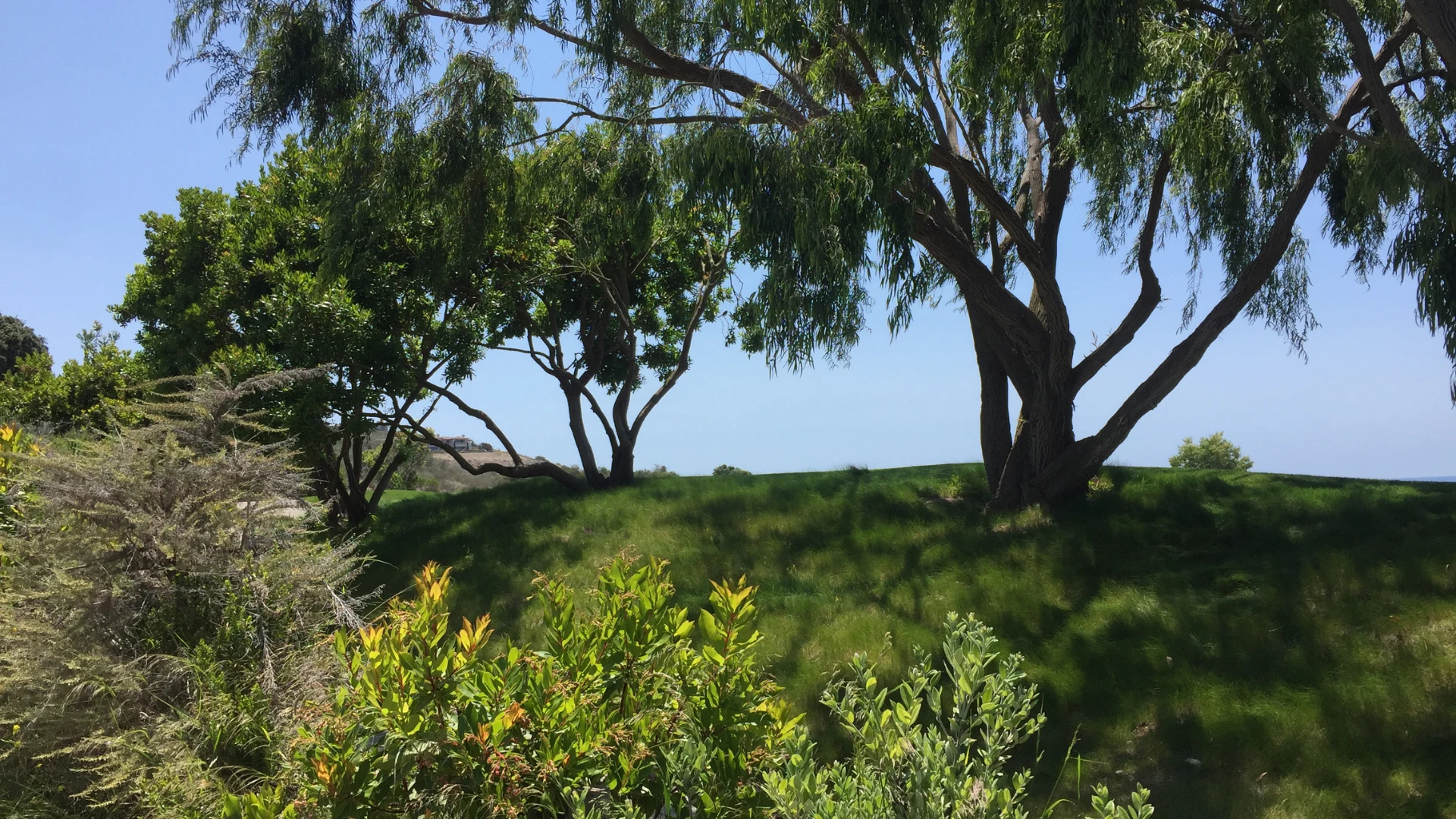 Personal injury attorney helping Rancho Palos Verdes residents seek compensation