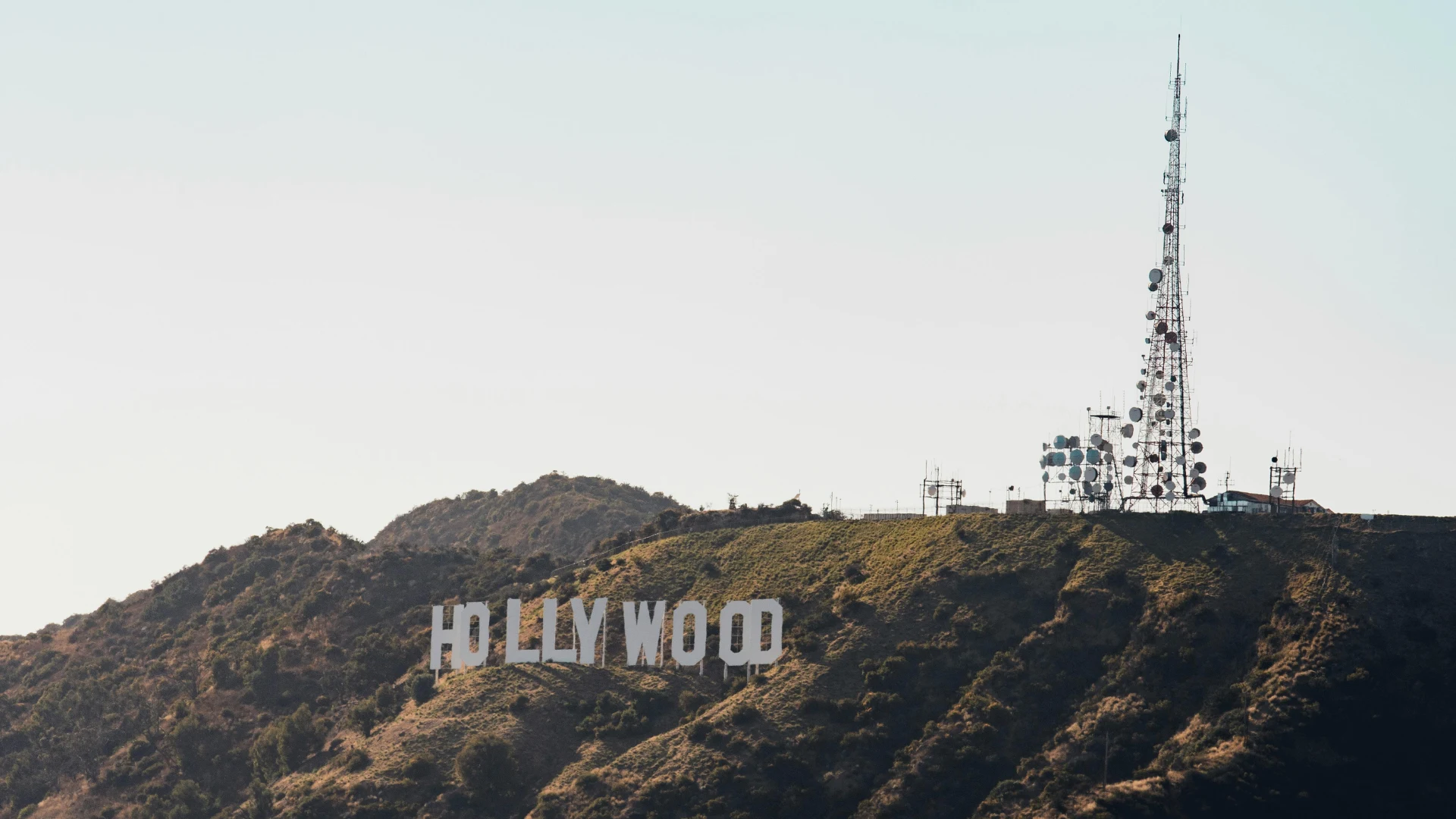 Attorney fighting for the rights of accident victims and employees in West Hollywood