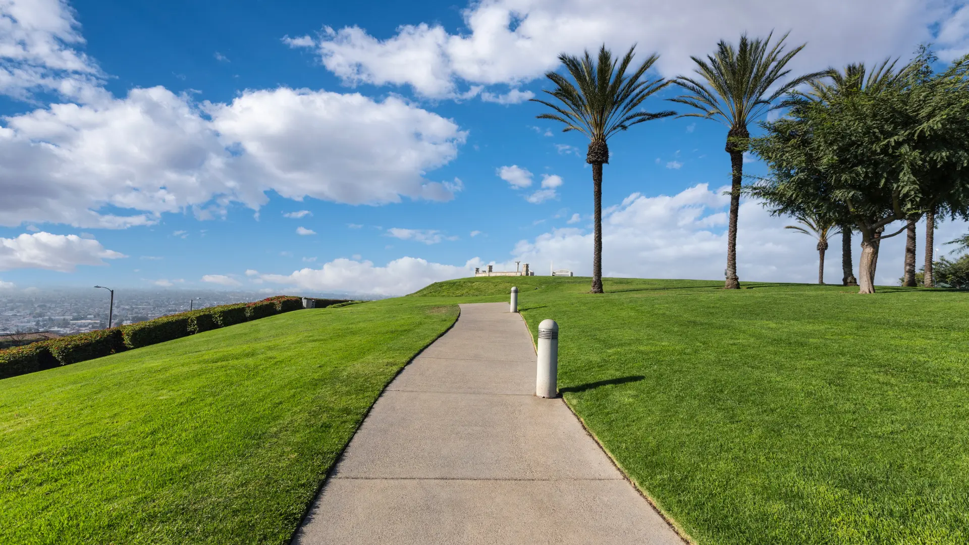 Personal injury and employment attorney serving Signal Hill California residents